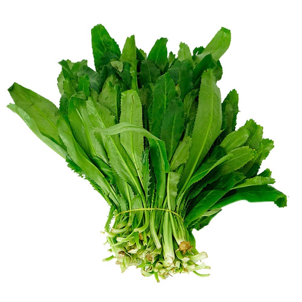 🌱Hạt Giống Rau Ngò Gai🌱 (Chịu Sâu Bệnh, Nảy mầm cao, Thơm ngon) - 5gr/gói