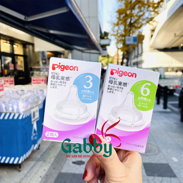 NÚM PIGEON NỘI ĐỊA NHẬT S / M / L / LL / 3L (LLL)