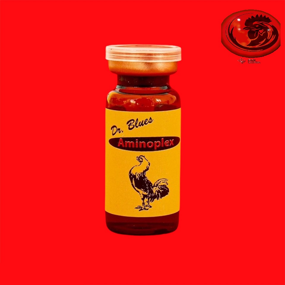 AMINOPLEX BRECO CHÍCH tăng bo, tăng cơ 10ml