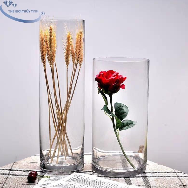 Bình Bông Lọ Hoa Thủy Tinh Trang Trí Dáng Trụ Tròn D15*H40