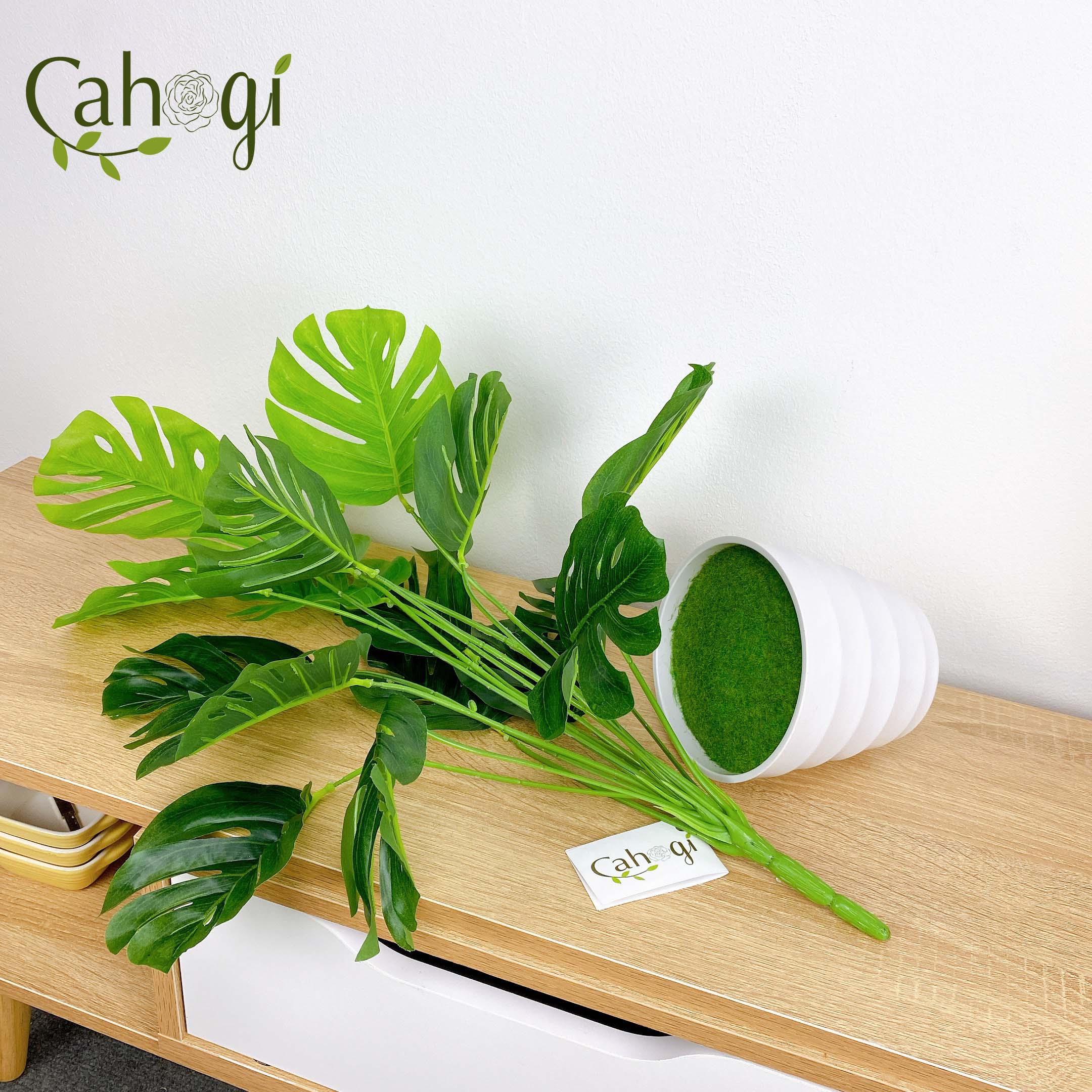 Cây nhựa PVC - Cây Lá Rùa DECOR cỡ lớn (Không Kèm Chậu)