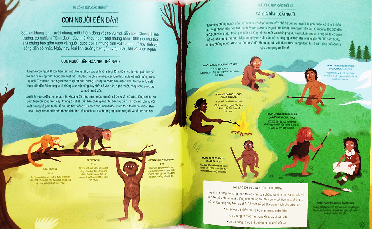 Sách cho bé - Amazing Evolution - HÀNH TRÌNH CỦA SỰ SỐNG