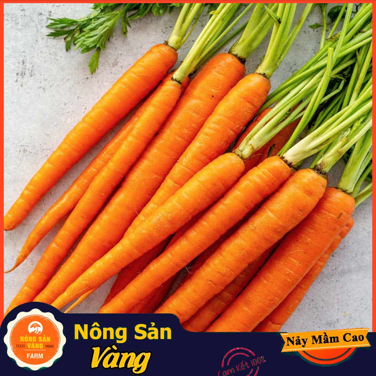 Hạt giống Cà Rốt Thường F1 ( Gói 3 Gram ) - Nông Sản Vàng