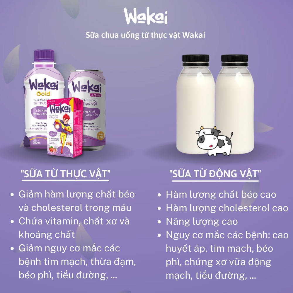 Barrel 24 bottle milk plant Wakai Gold (250ml x 24 bottle)