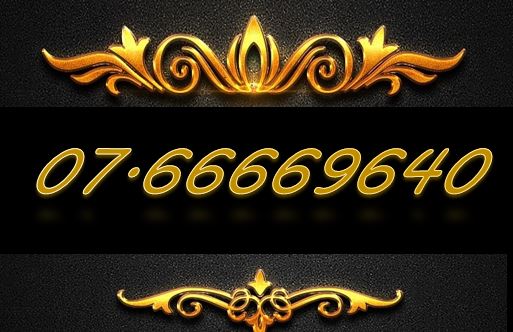 Sim tứ quý 07.66669640