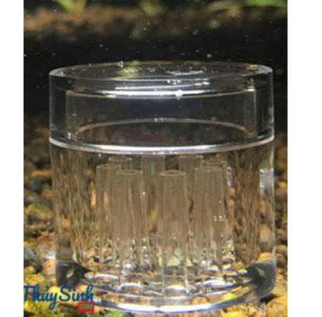 [Hoàn Tiền 10%] Bẫy sán Mica 9 lỗ