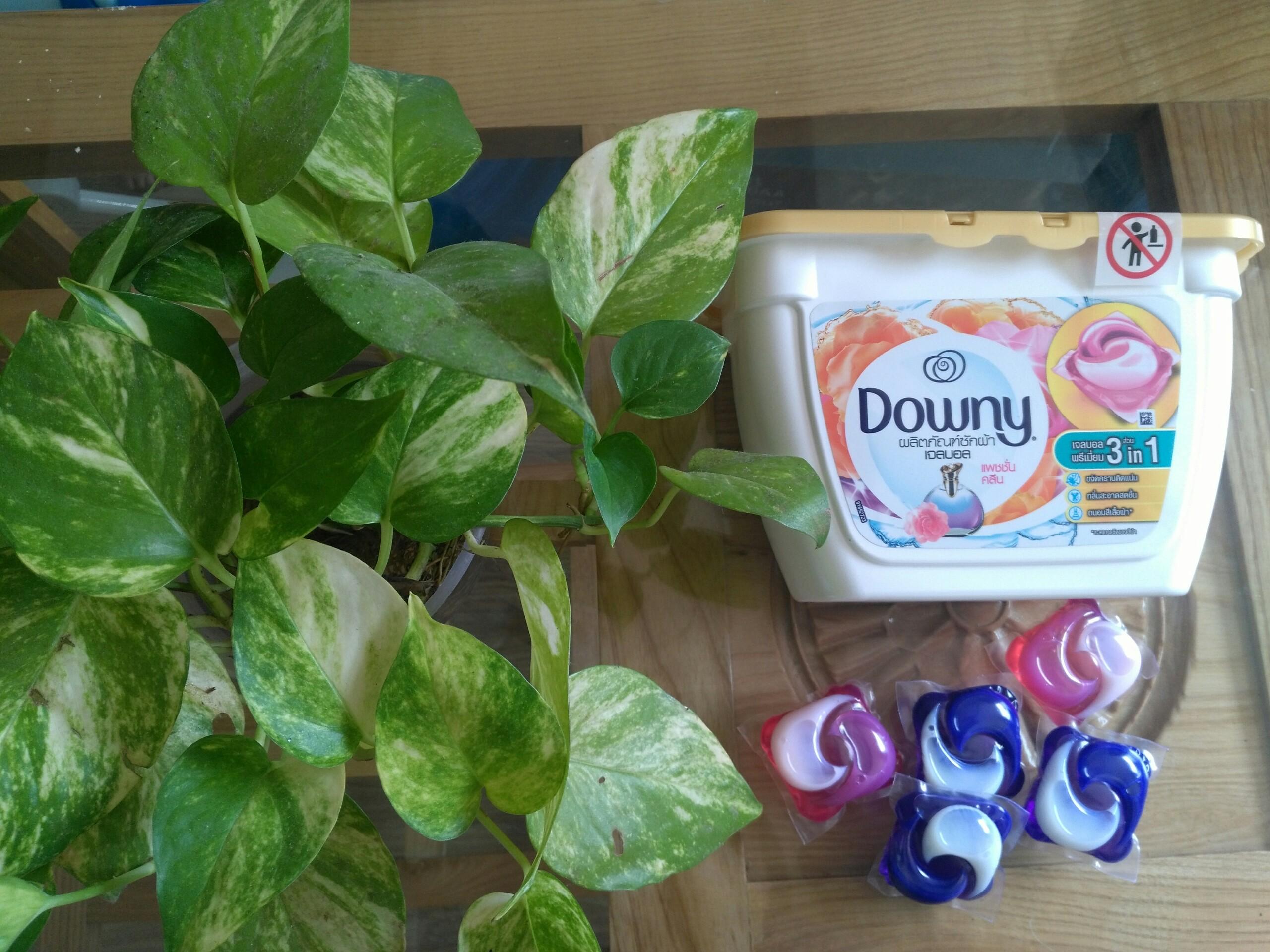 Viên Giặt  Xả Downy 3 in 1 Thái Lan