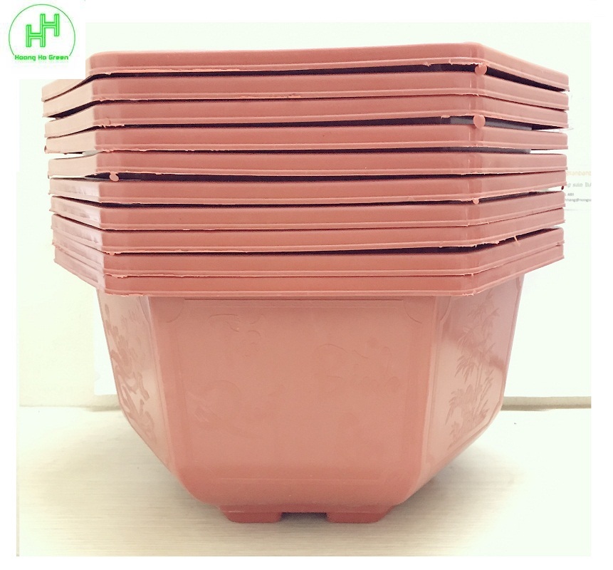 10 Chậu Nhựa Lục Giác Trồng Hoa, Cây Cảnh Bình Thuận Bonsai 350x210