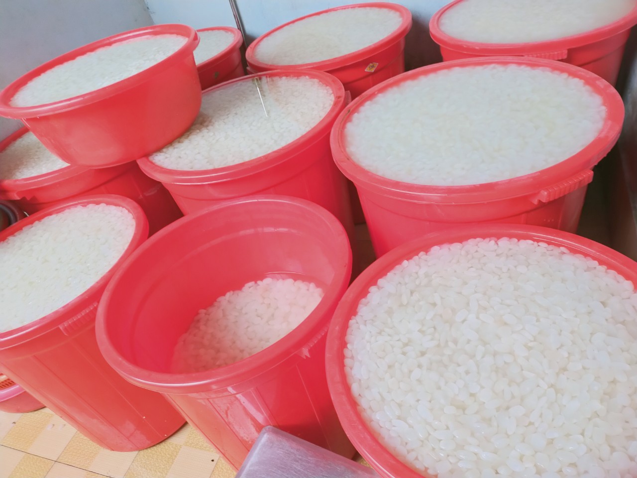 1kg Hạt đác tươi Atifood - Hạt loại to