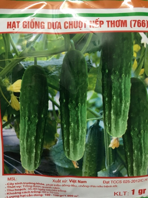 Hạt Giống Dưa Chuột Nếp Thơm