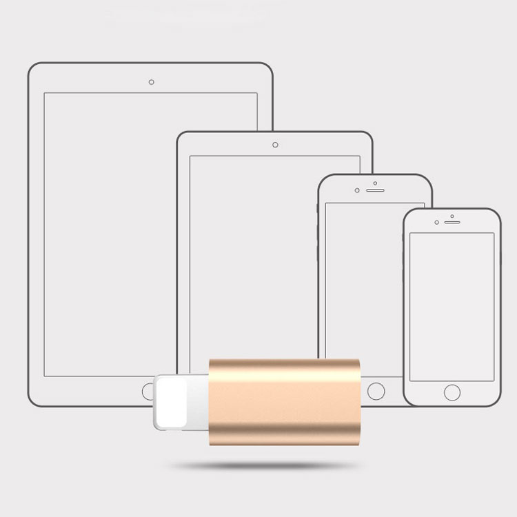 Đầu chuyển đổi chân Micro USB sang Lightning (Iphone Ipad)
