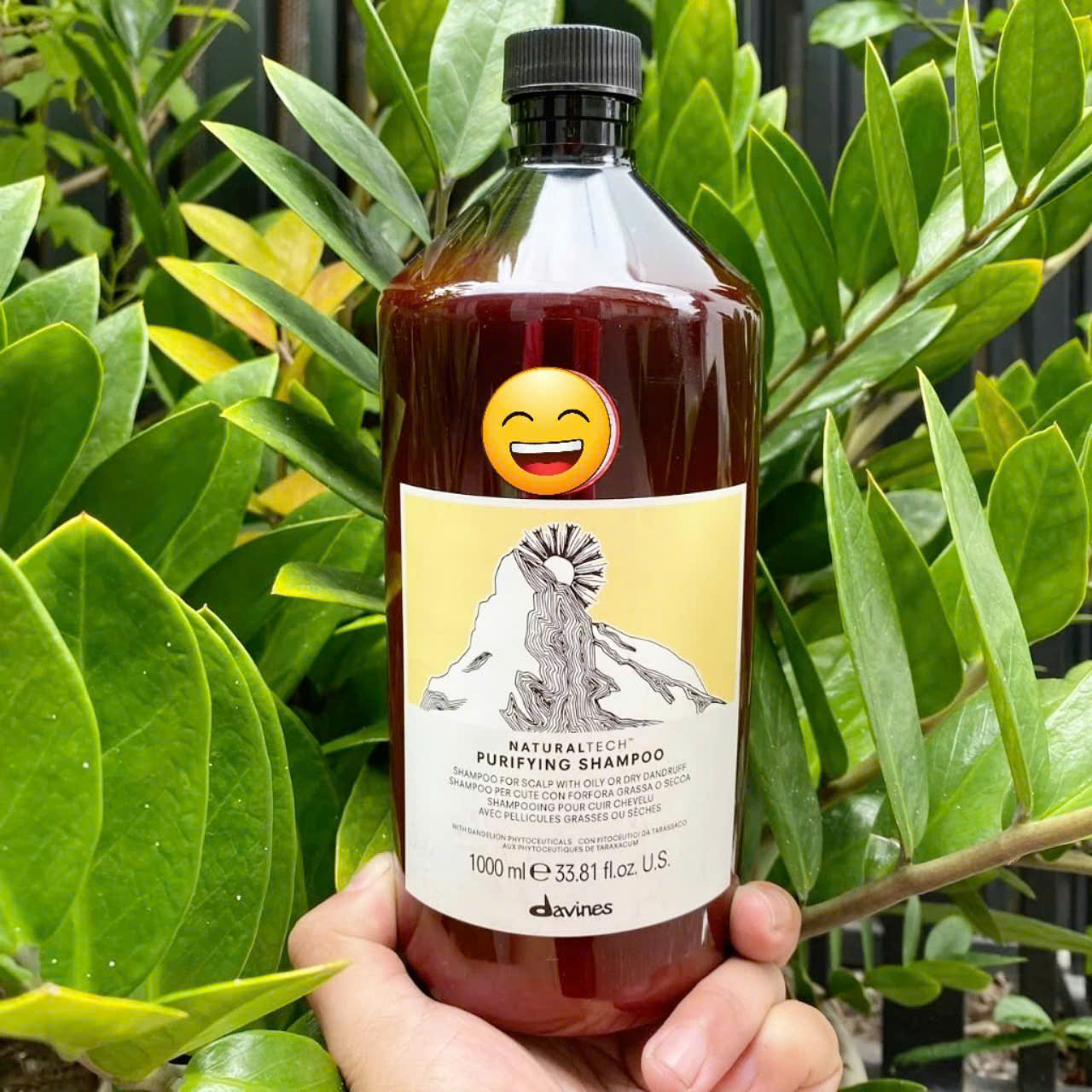 Dầu gội ngăn gàu cho tóc và da đầu DAVINES PURIFYING Shampoo ( hàng chính hãng ) 1000ml