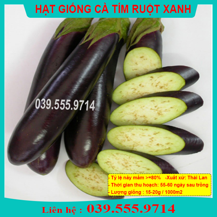 Hạt Giống Cà Tím Quả Dài