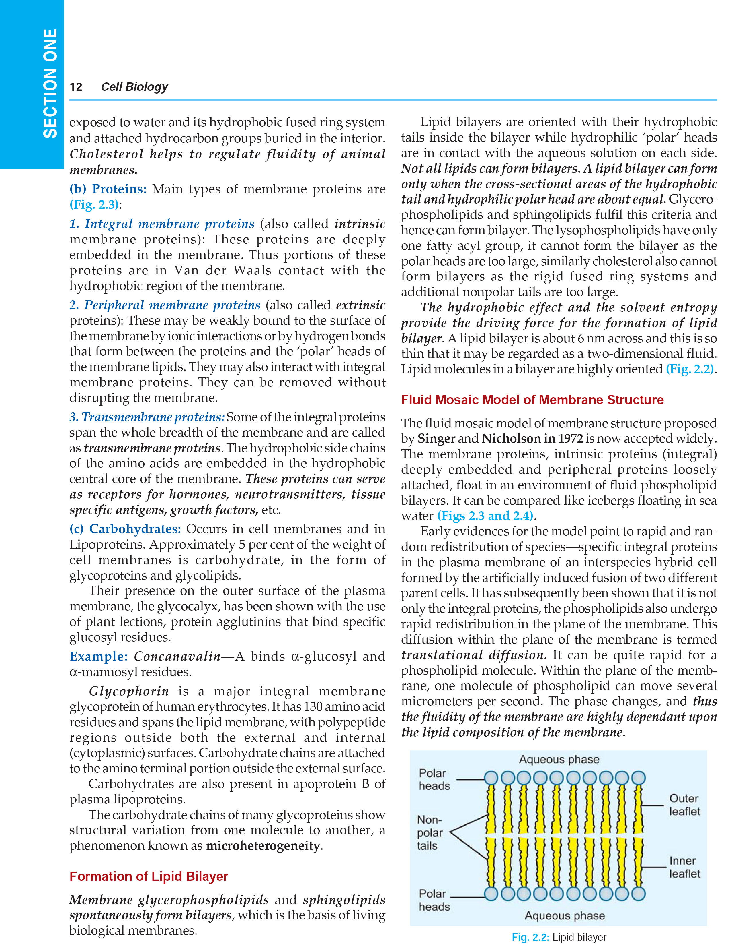 Textbook of Medical Biochemistry