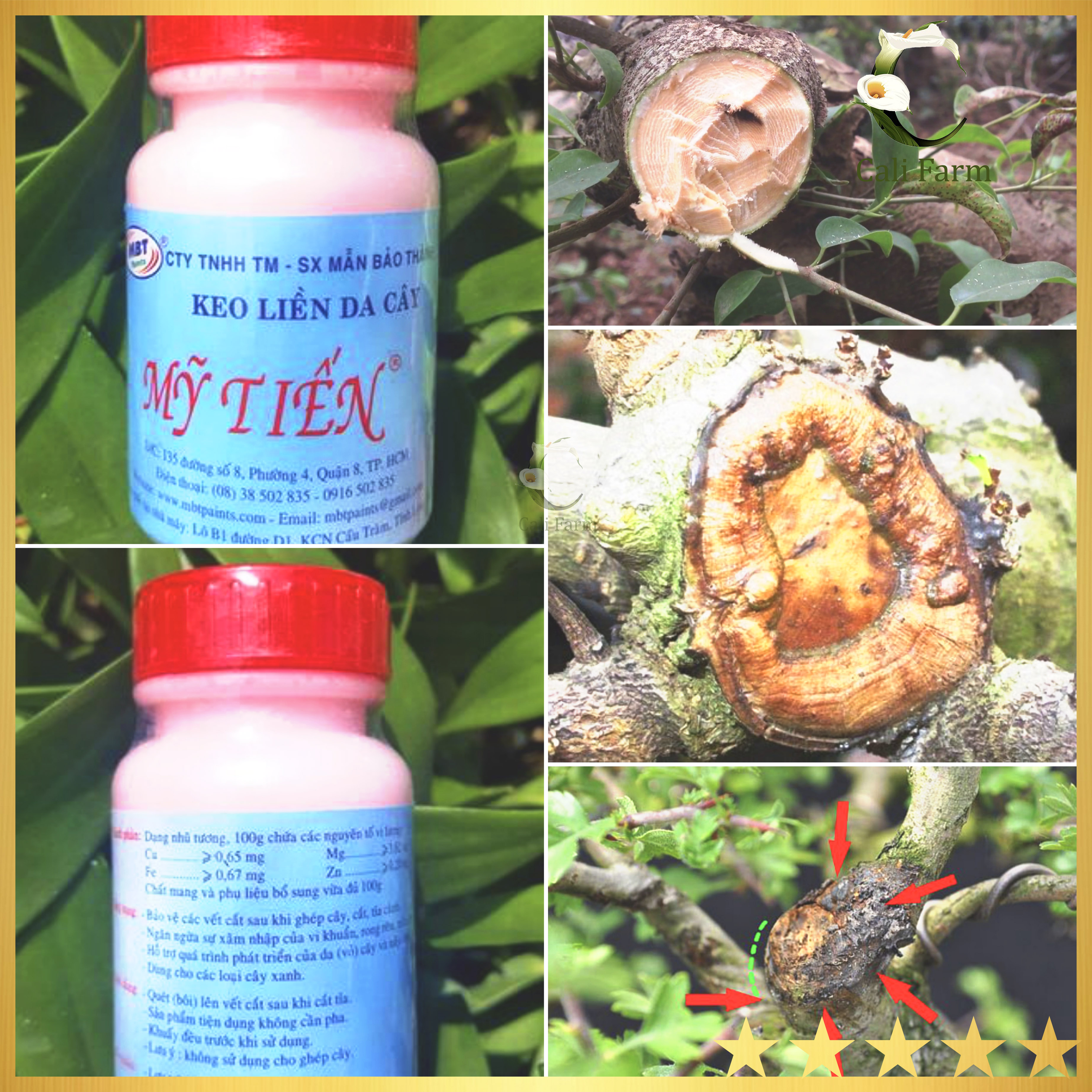 [Combo] Keo liền da Mỹ Tiến và Keiki Duy Đỏ [sieutietkiem]