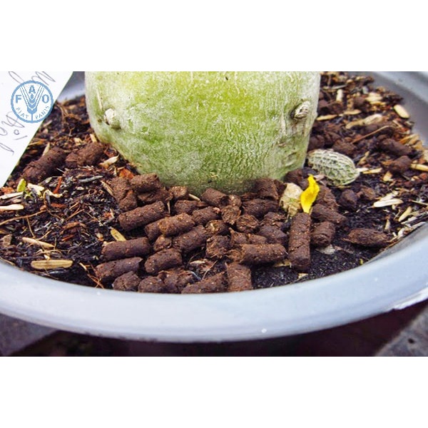 Dynamic Lifter Yates 1kg Phân hữu cơ nhập khẩu từ Úc