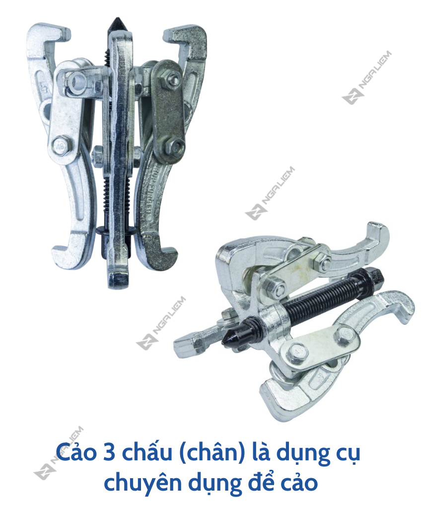 Cảo 2 Chấu, 3 Chấu LS+
