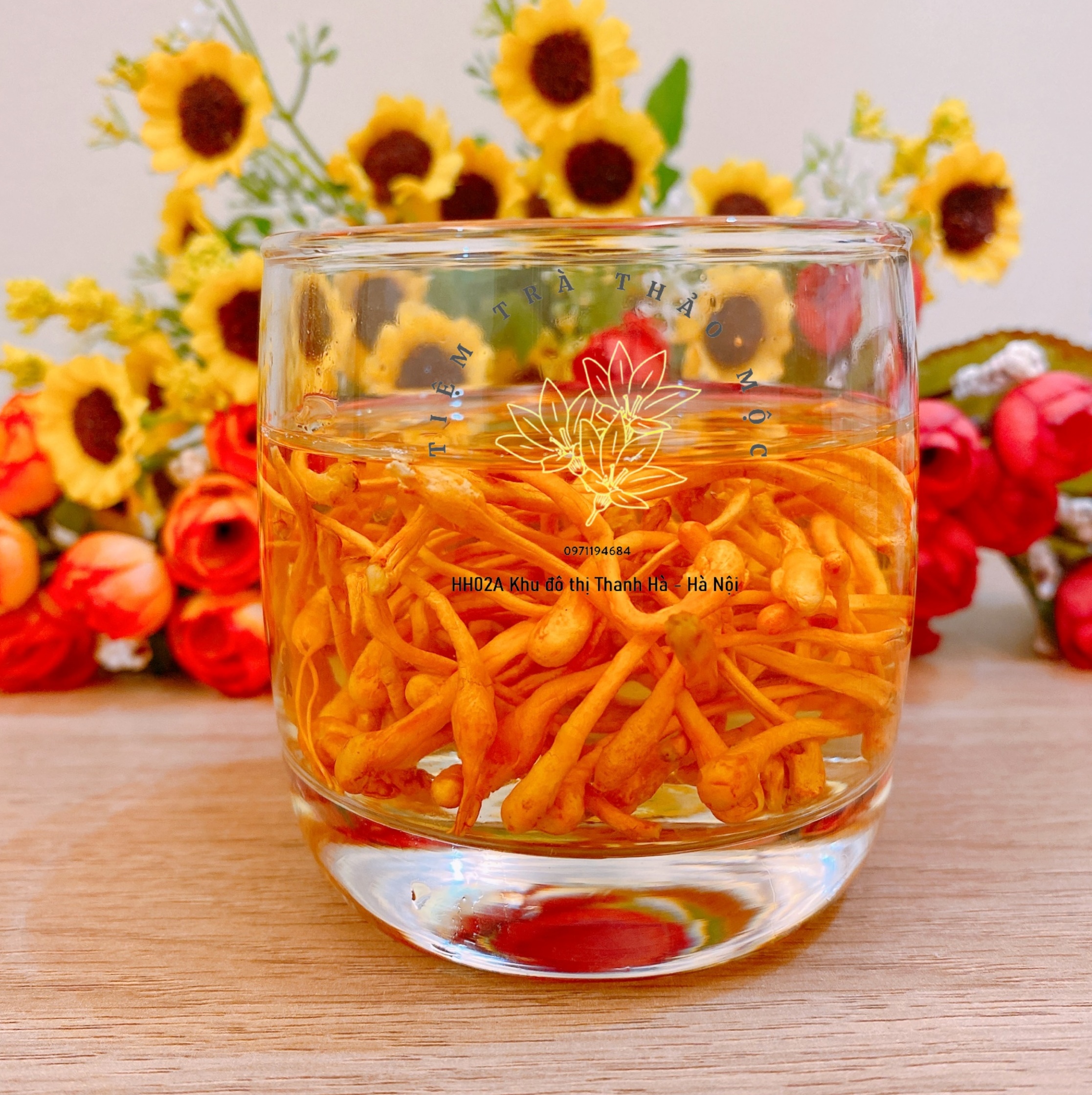 Đông Trùng Hạ Thảo