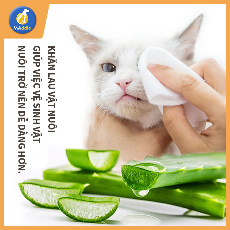 khăn lau em bé maddie Khăn ướt cho thú cưng, sạch, rẻ, đầy nước