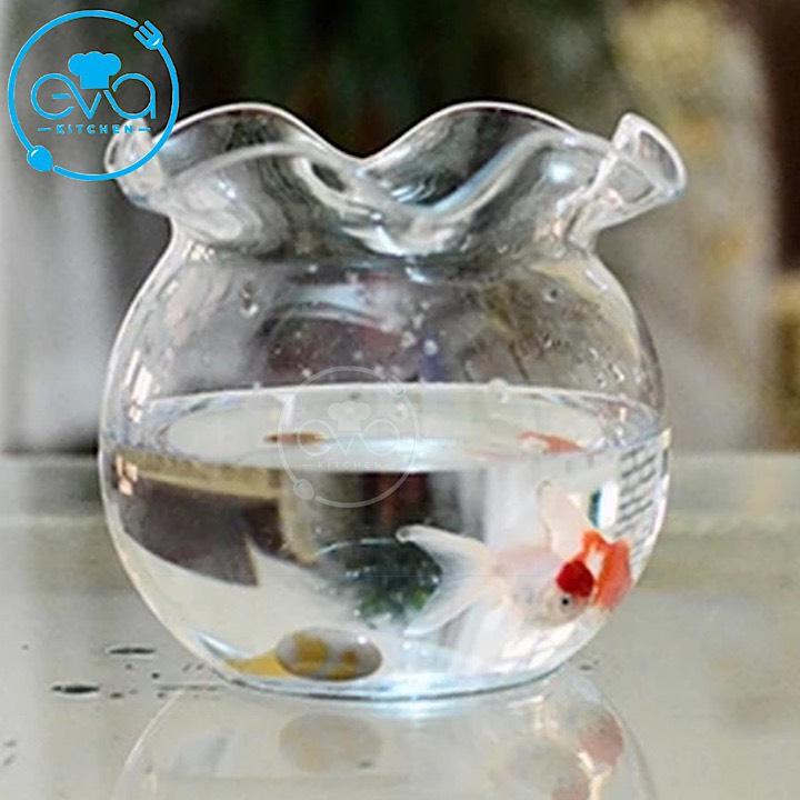 Hồ Cá Bể Cá Có Miệng Bèo Thuỷ Tinh Mini B7 9 x 10 Cm Tặng Kèm Sỏi Và Rong Trang Trí