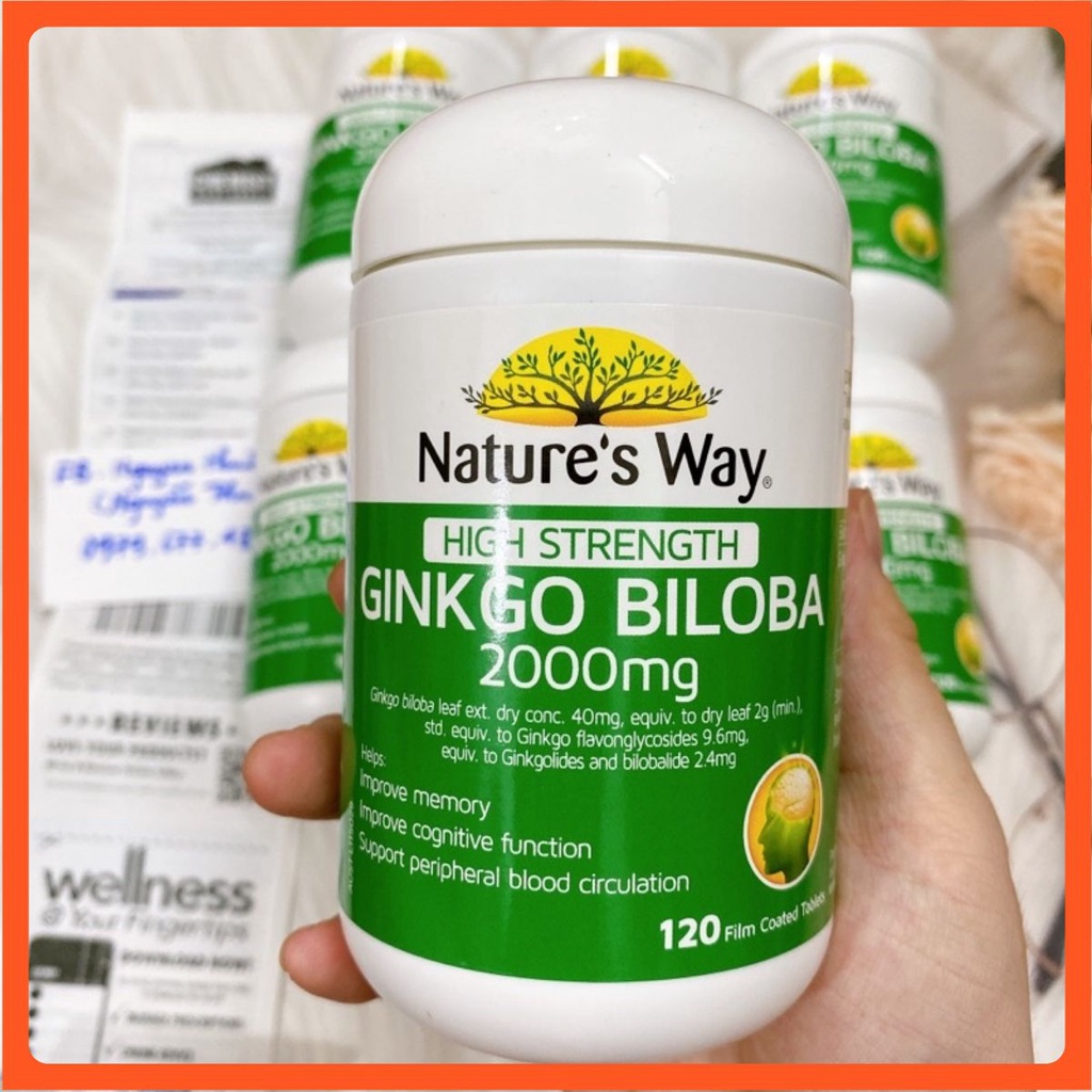 Viên bổ não Ginkgo Biloba Nature’s Way 2000mg