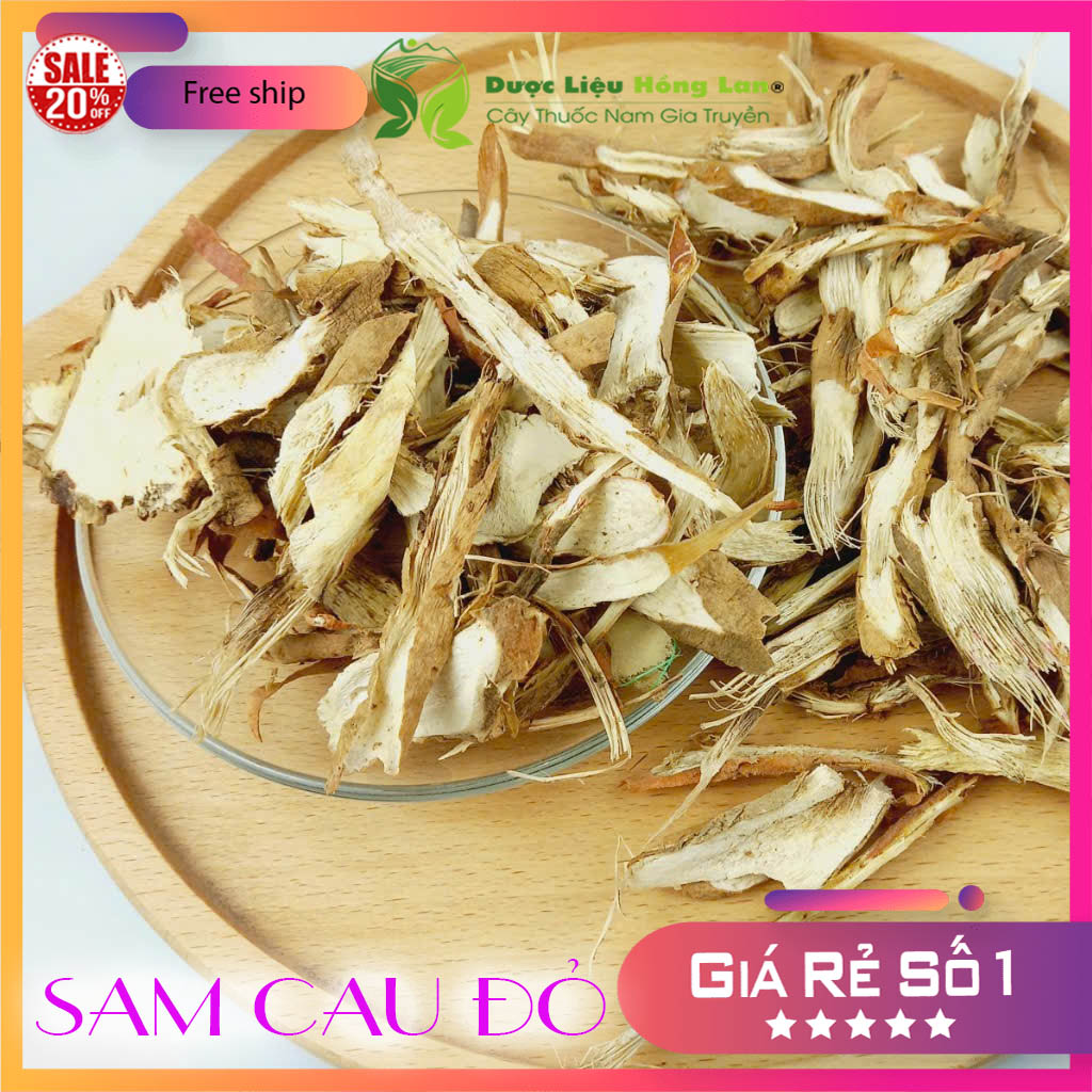 [FreeshipMAX] Dược liệu SÂM CAU ĐỎ khô sạch đóng gói 500gram