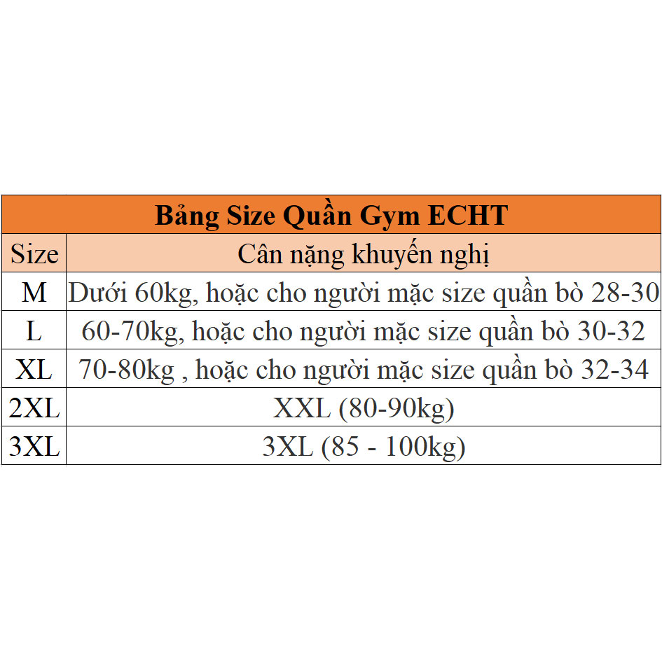 Quần Tập GYM Nam ECHT Cao Cấp SQ492 - Quần tập Gym Ngắn