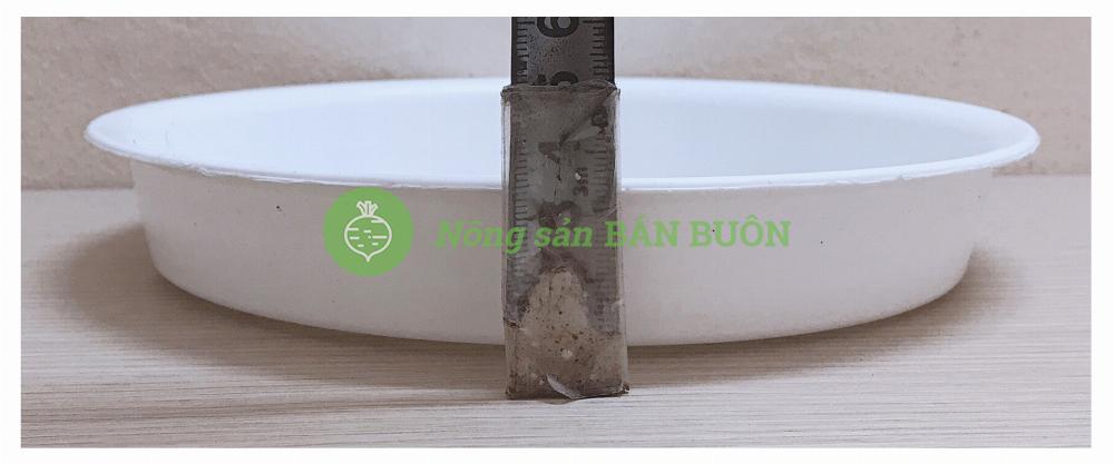 5 Khay (Đĩa) Lót Đế Chậu D200 Binh Thuan Plastics - Màu Trắng