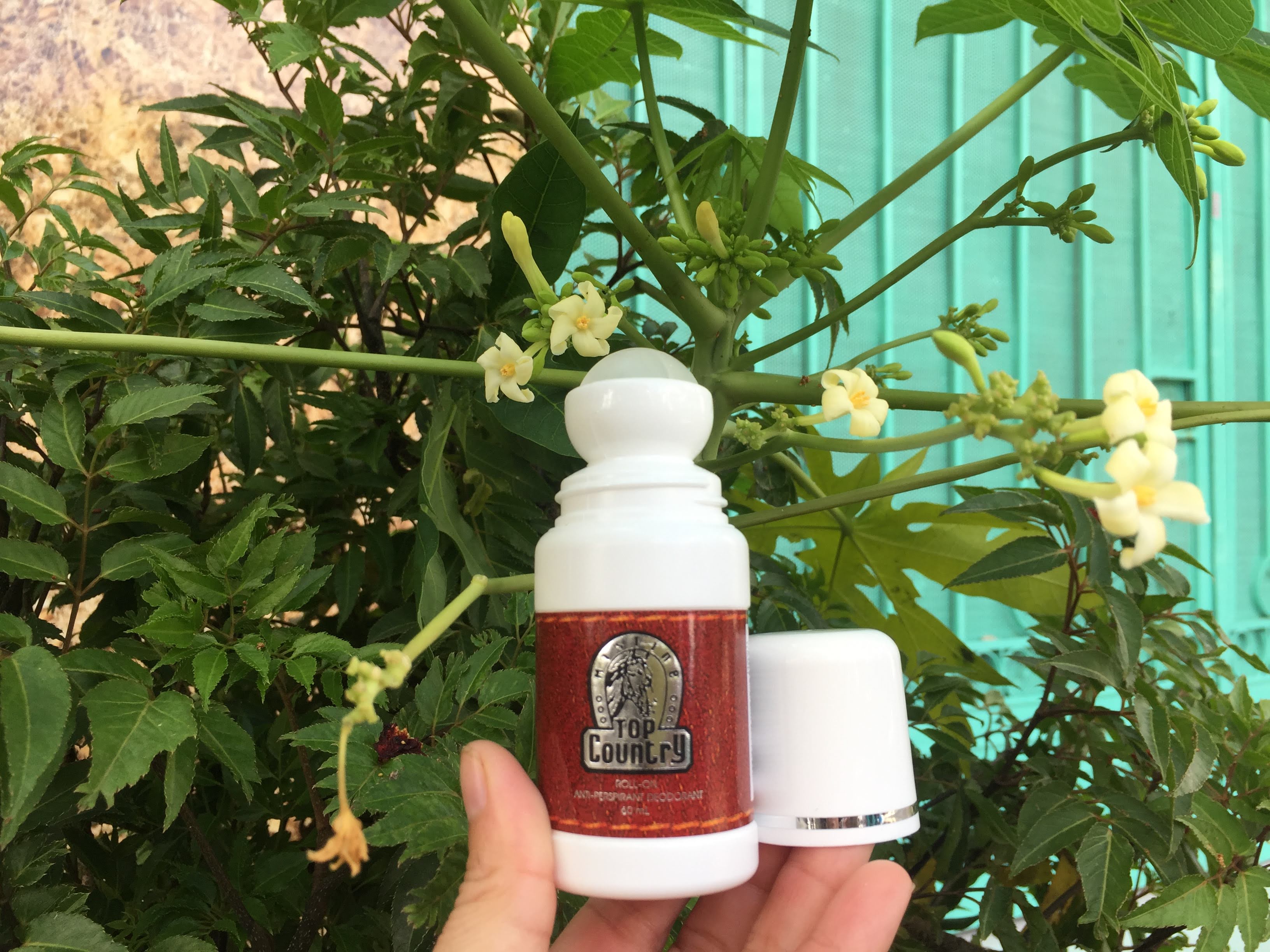 Combo 2 chai lăn nách Thái Lan Top Country 60 ml