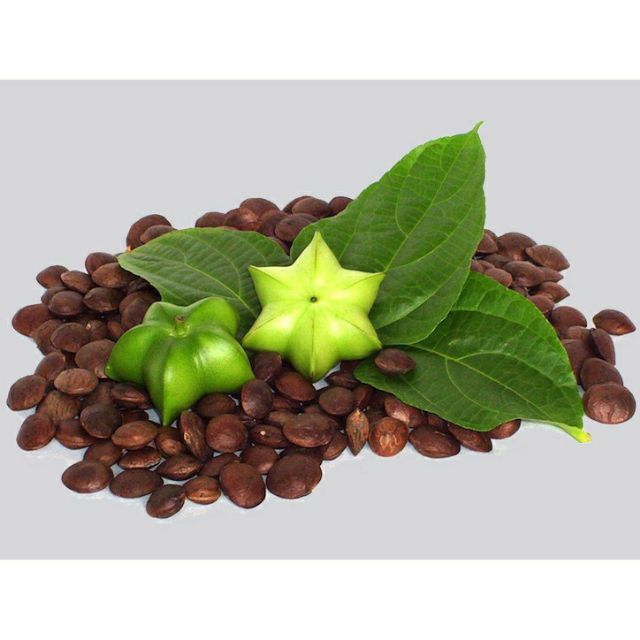 [500g]hạt sachi sấy chín oganic daklak ( hạt sa chi) thơm ngon