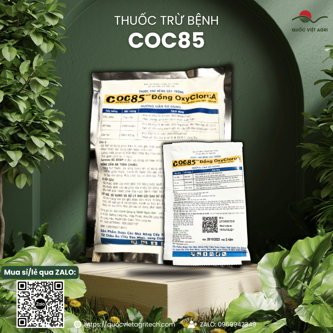 (20g - 1kg) Genuine Coc 85 Wp Fungicide - Copper Oxychloride 85%W/W Eliminates Powdery Mildew, Anthracnose, White Powdery Mildew and Scars for Ornamental Flowers