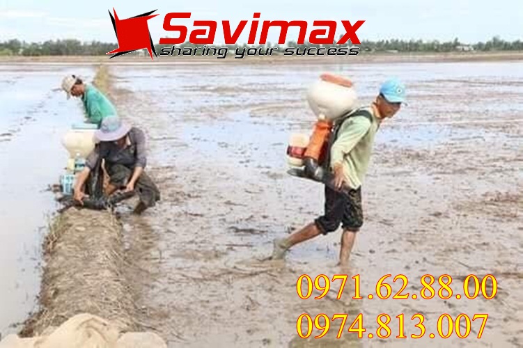 Máy phun phân bón đa năng, máy phun sạ lúa động cơ xăng 2 thì