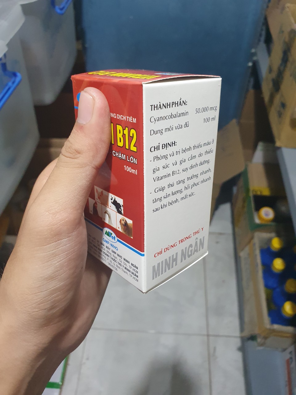 [HCM]VITAMIN B12 Chai 100ml - A1.1028