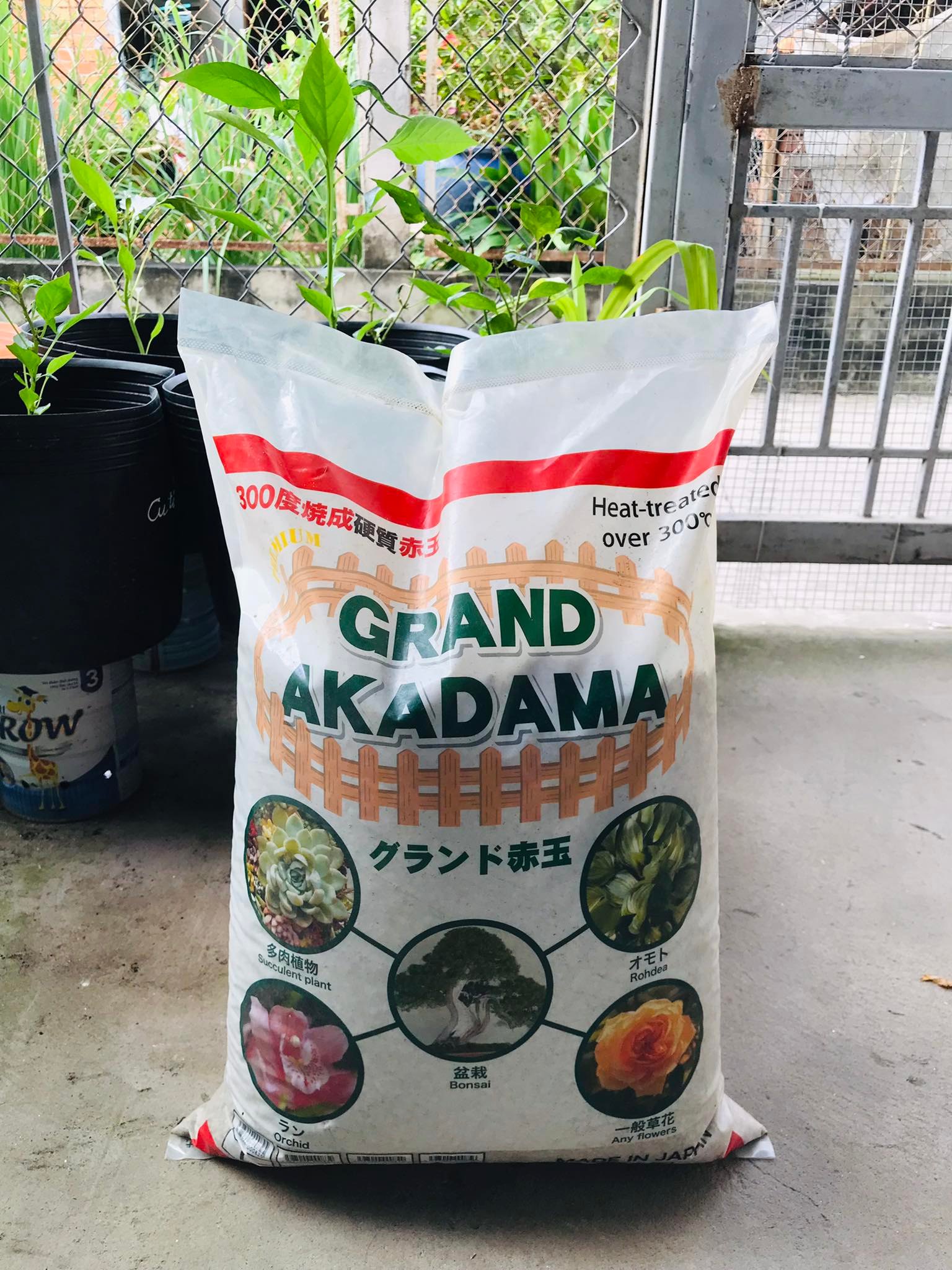 Đá Akadama size [S] - Phân nền Nhật bản [500gram]