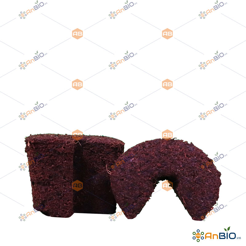 [HCM]MÚT HỮU CƠ ƯƠM CÂY HÀ LAN QUICK PLUG THE EVOLUTION OF ROOTS | 1 Miếng Mút - D3.1016