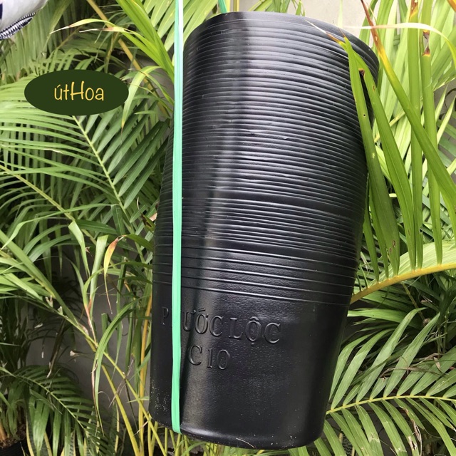Combo 100 Chậu Nhựa Đen C10 (25x20cm) trồng cây