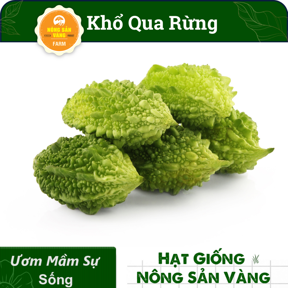 Hạt giống Khổ Qua Rừng Nảy Mầm Cao, Giàu Giá Trị Dinh Dưỡng (Gói 10 Hạt) - Nông Sản Vàng