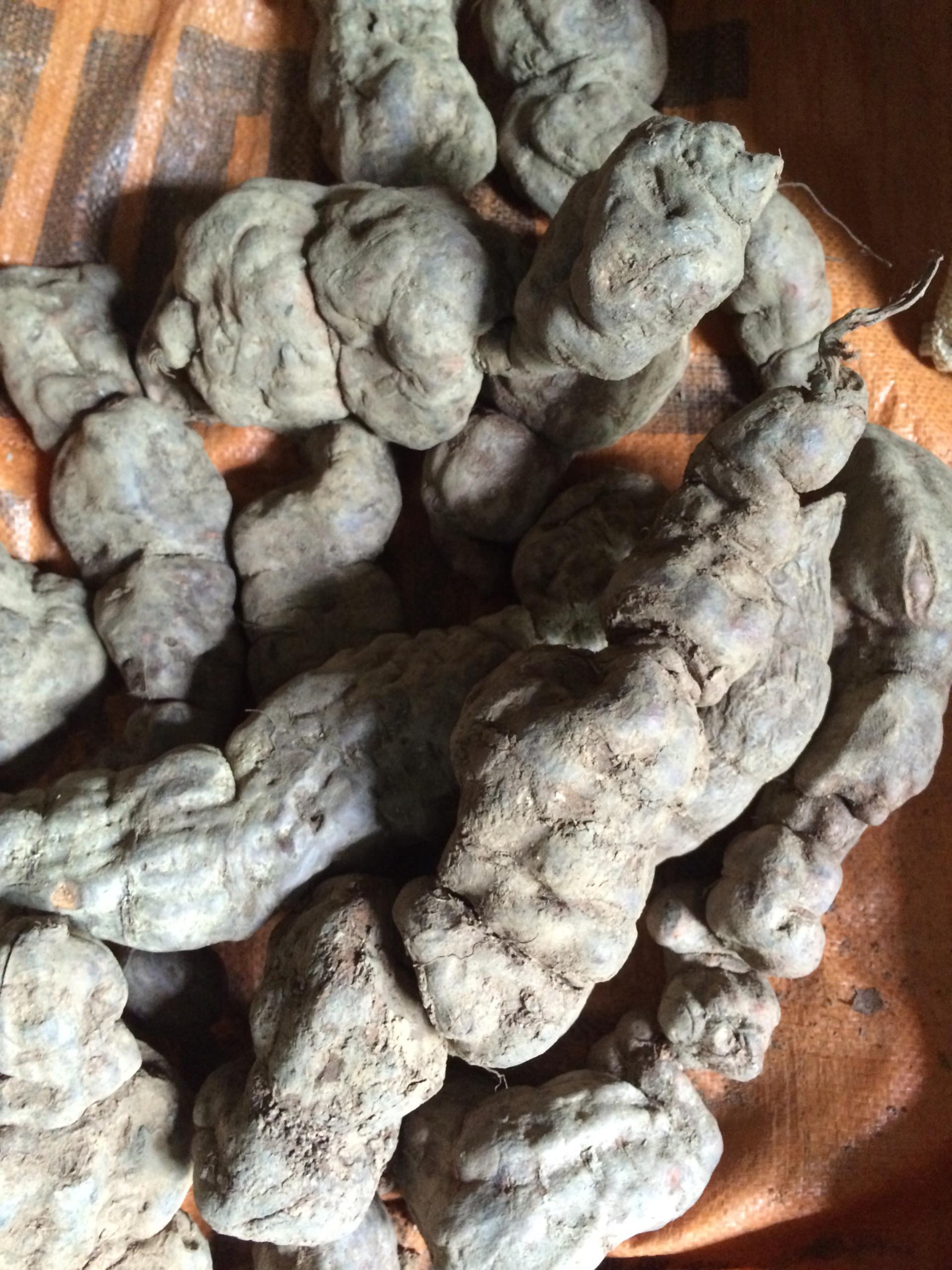 Hà Thủ ô đỏ 500g khô
