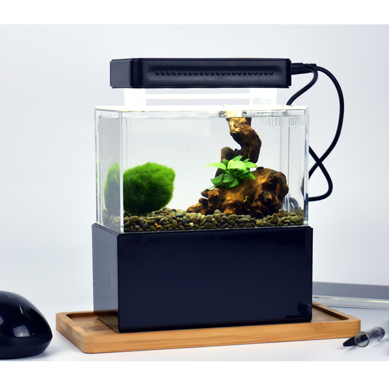 Bể cá thủy sinh Mini để bàn 01