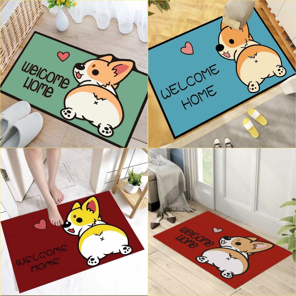combo 2 thảm chùi chân 40x60