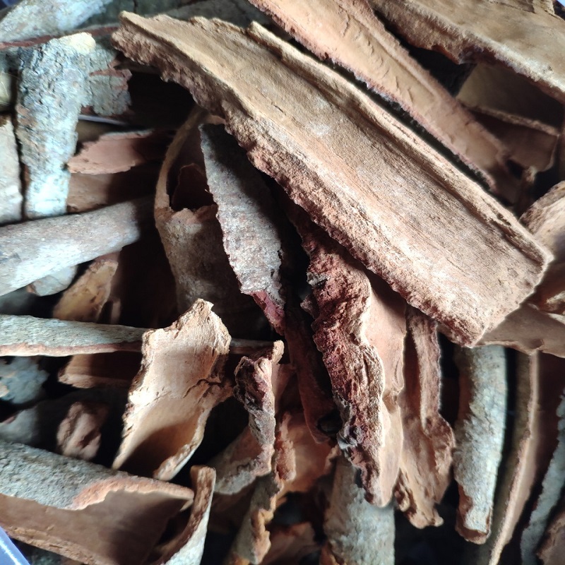 Quế thanh ngâm ủ enzym bồ hòn
