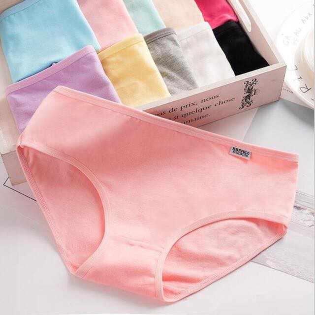 Combo 10 Quần Lót Cotton Pulo Xuất Mỹ ( 38- 82 Kg )