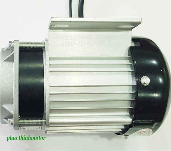 Động cơ 48V750W không chổi than