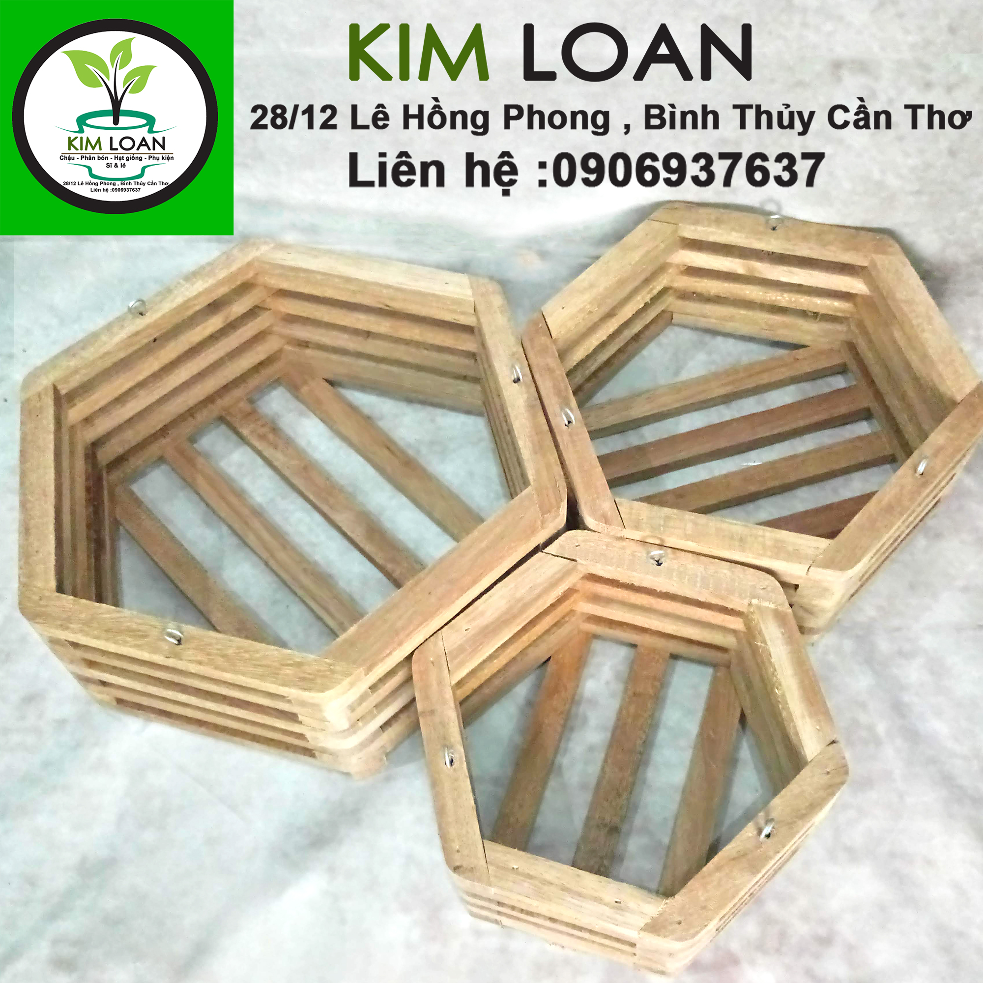 Chậu lan gỗ lục giác 21x10cm