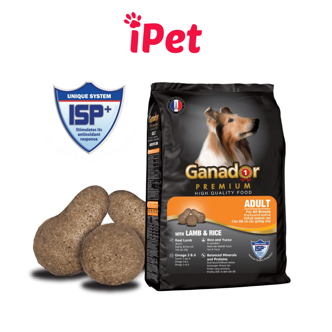 Thức Ăn Cho Chó Ganador Adult Hạt Khô Cho Chó Lớn Vị Gà, Cá Hồi Gói 400g- iPet Shop