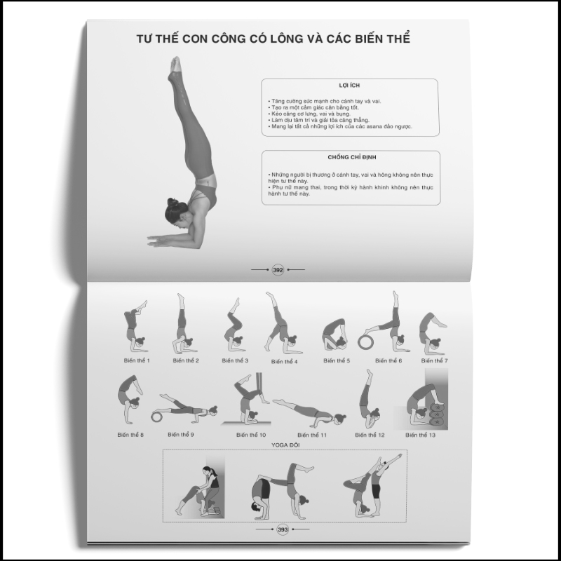 Sách yoga: Hệ thống 1500 biến thể tư thế & 100 chuỗi bài yoga liên hoàn