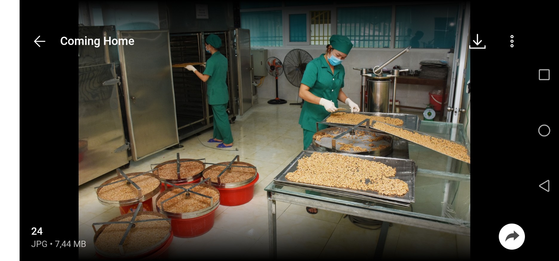 Bột đậu tương lên men NATTO KINAZA