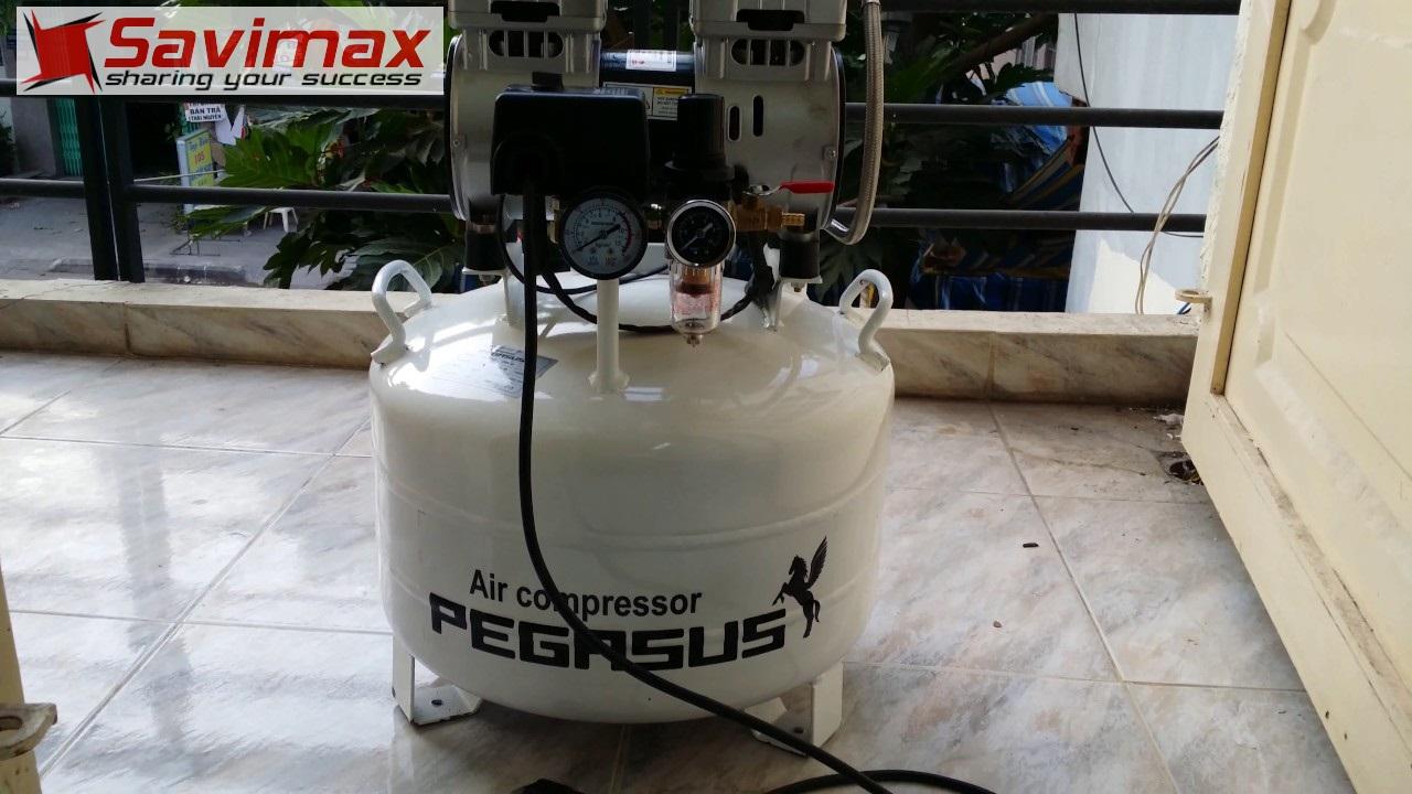 Máy nén khí không dầu Pegasus TM-OF750