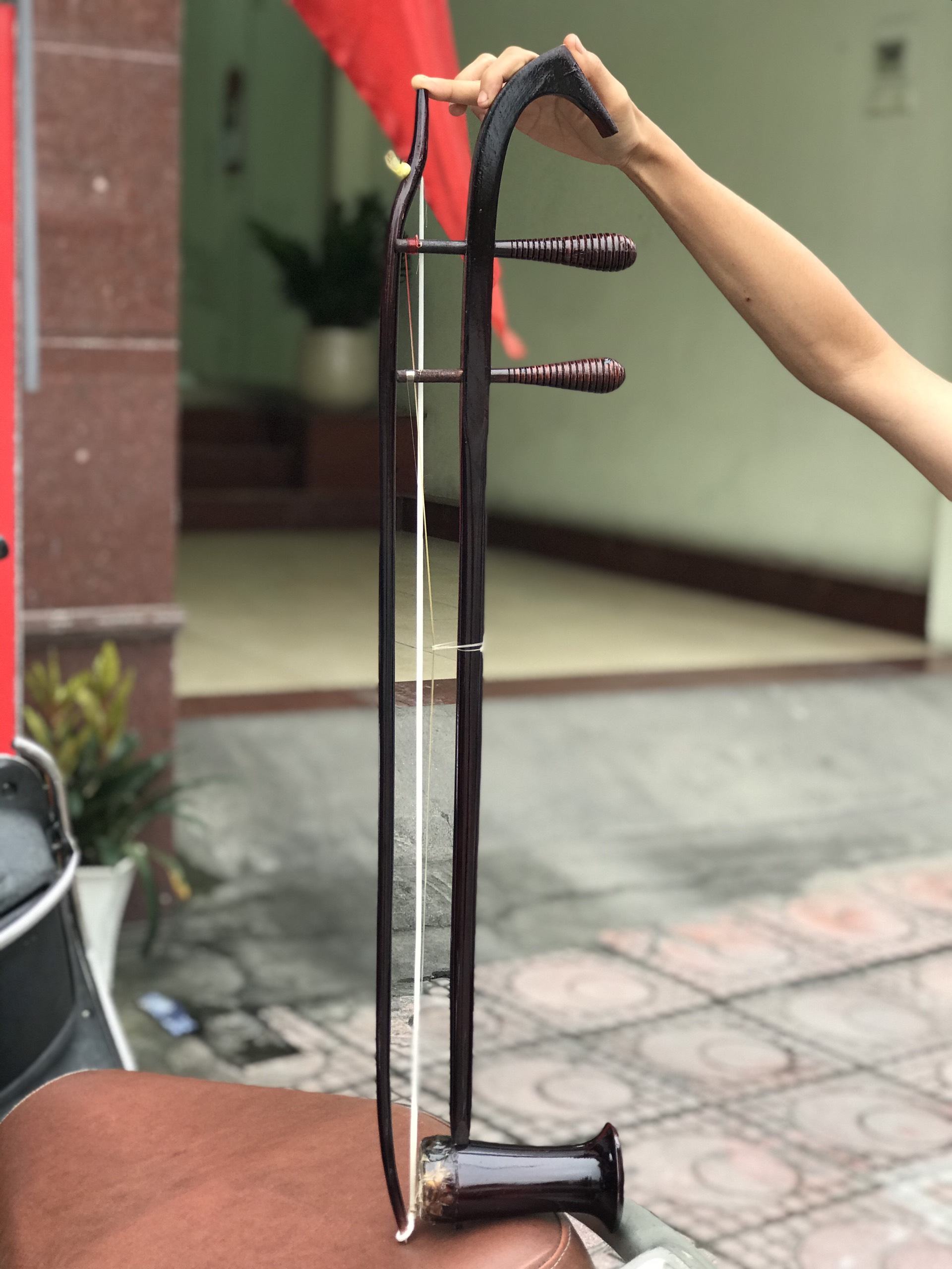 Đàn nhị dân tộc Việt Nam