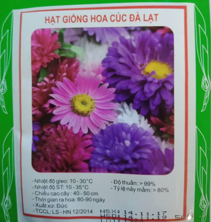 "Gói 50 Hạt " Hạt giống hoa cúc đà lạt nhiêu màu